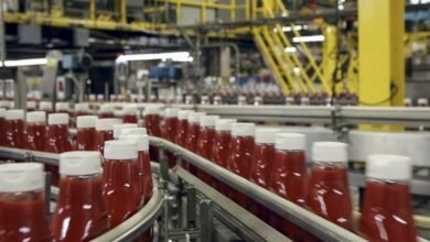 «الشلاح-للصناعات-الغذائية»-تستهدف-246-مليون-دولار-مبيعات-بنهاية-العام-الجارى