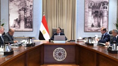 رئيس-الوزراء-يتابع-إجراءات-ترشيد-استهلاك-المواد-البترولية-والكهرباء