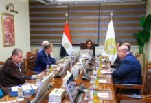 وزيرة-التنمية-المحلية-والبيئة-تعقد-اجتماعًا-لمناقشة-ملامح-الرؤية-الاستراتيجية-2026–2030