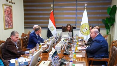 وزيرة-التنمية-المحلية-والبيئة-تعقد-اجتماعًا-لمناقشة-ملامح-الرؤية-الاستراتيجية-2026–2030