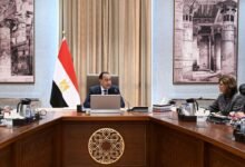 رئيس-الوزراء-يستعرض-المنظومة-المقترحة-لتطوير-وتأهيل-الكوادر-بالجهاز-الإدارى-للدولة