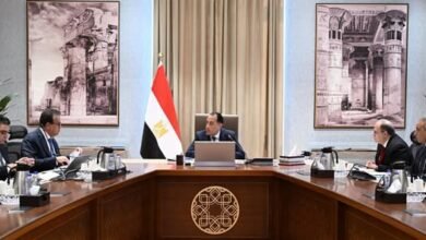 رئيس-الوزراء-يتابع-موقف-توافر-الأدوية-والخامات-الفعالة-بالسوق-المصرية 