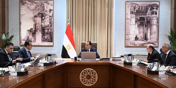 رئيس-الوزراء-يتابع-موقف-توافر-الأدوية-والخامات-الفعالة-بالسوق-المصرية 