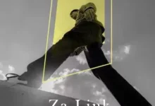 مول-ذا-لينك-العاصمة-الإدارية-الجديدة-mall-zalink-new-capital