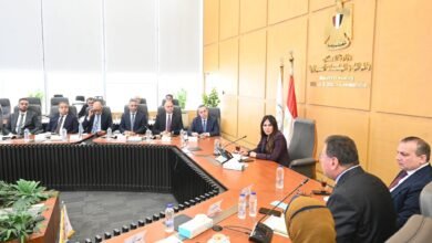 وزيرة-الإسكان-تبحث-مع-غرفة-التطوير-العقاري-آليات-تنظيم-القطاع