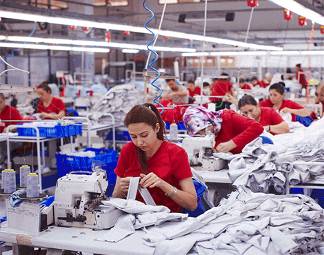 التنمية-الصناعية-تخصص-176-قطعة-أرض-على-مساحة-600-ألف-متر-مربع