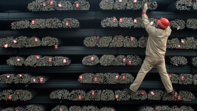 «الاستثمار»:-8-محطات-رئيسية-لفرض-تدابير-وقائية-نهائية-على-بعض-واردات-الصلب