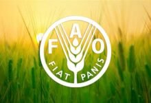 “الفاو”-وبرنامج-الأمم-المتحدة-الإنمائى-يعقدان-25-حوارًا-مجتمعيًا-فى-مصر