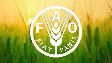 “الفاو”-وبرنامج-الأمم-المتحدة-الإنمائى-يعقدان-25-حوارًا-مجتمعيًا-فى-مصر
