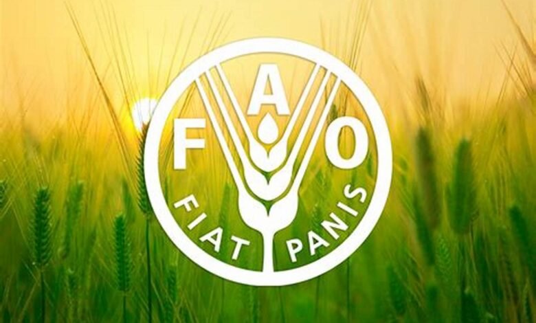 “الفاو”-وبرنامج-الأمم-المتحدة-الإنمائى-يعقدان-25-حوارًا-مجتمعيًا-فى-مصر