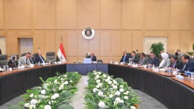 الحكومة-تناقش-مقترحات-لزيادة-التعاون-الاقتصادي-والاستثماري-مع-كوريا-الجنوبية