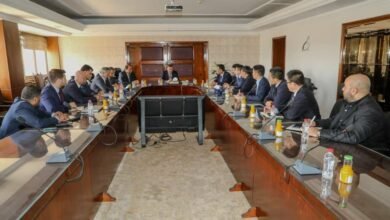 مباحثات-مصرية-صينية-لزيادة-الاستثمارات-الصناعية-ونقل-التكنولوجيا