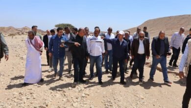 وزيرا-النقل-والكهرباء-يبحثان-إقامة-عدد-من-المشروعات-لتوليد-الكهرباء-من-طاقة-الرياح