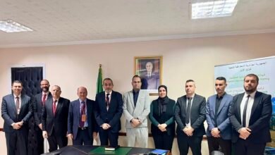 “حديد-عز”-تخطط-لإنشاء-مشروع-لإنتاج-الحديد-المختزل-في-الجزائر