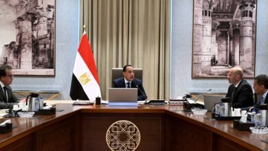 شركة-صينية-تقدم-مقترحاً-لتنفيذ-مشروع-“مدينة-المستشفيات”-بمصر