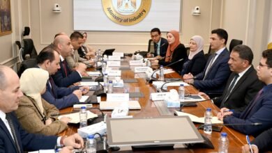 الحكومة-تبحث-ترخيص-عمل-الأجانب-وتطوير-التدريب-المهني-بالقطاع-الصناعي