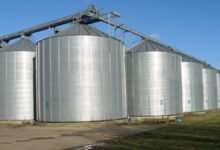 «فيروم-مصر»-تقترب-من-الحصول-على-الضمانة-السيادية-لتمويل-مشروع-صوامع-بورسعيد