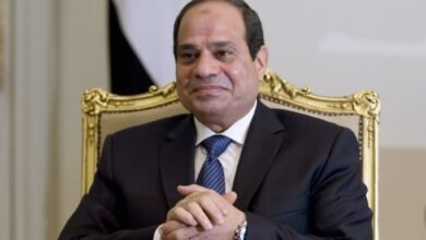“السيسي”:-مصر-تنفذ-خطة-متكاملة-لتحديث-منظومة-الطيران-المدني