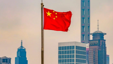 وفد-صيني-يدرس-ضخ-استثمارات-بالصناعات-الكيماوية