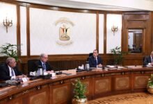 رئيس-الوزراء-يتابع-تطوير-قطاع-الغزل-والنسيج-واستغلال-الأصول