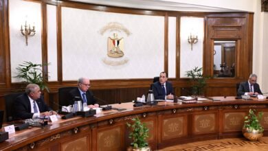 رئيس-الوزراء-يتابع-تطوير-قطاع-الغزل-والنسيج-واستغلال-الأصول