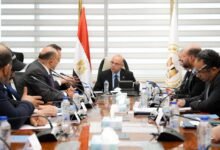 وزير-الاستثمار-يؤكد-دعم-توطين-التكنولوجيا-المتقدمة-وجذب-استثمارات-صينية-جديدة