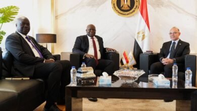 محمد-فريد:-نرحب-بدراسة-أي-فرص-استثمارية-ذات-جدوى-مع-جنوب-السودان