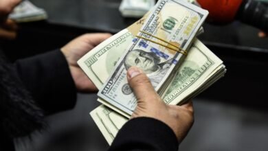 قفزة-قوية-في-تحويلات-المصريين-بالخارج-29.4-مليار-دولار-خلال-8-أشهر