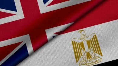شركات-أدوية-بريطانية-ترغب-في-ضخ-استثمارات-جديدة-بمصر