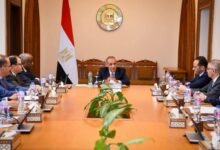 وزير-الخارجية-يلتقي-ممثلي-الشركات-المصرية-العاملة-في-أفريقيا-لتعزيز-النشاط-الاقتصادي-بالقارة