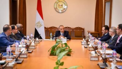 وزير-الخارجية-يلتقي-ممثلي-الشركات-المصرية-العاملة-في-أفريقيا-لتعزيز-النشاط-الاقتصادي-بالقارة