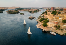 مصر-تطلق-آلية-تمويلية-بـ-100-مليون-دولار-لدعم-التنمية-بدول-حوض-النيل
