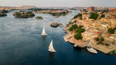 مصر-تطلق-آلية-تمويلية-بـ-100-مليون-دولار-لدعم-التنمية-بدول-حوض-النيل