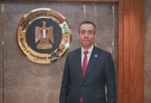 شريف-يحيى-مساعدًا-لوزير-الاستثمار-لشئون-التطوير-والتحول-الرقمي