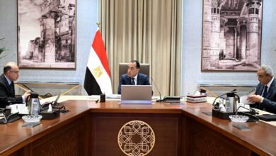 الحكومة-تنفذ-7-مناطق-استثمارية-جديدة-لجذب-214-مشروعاً-بـ4.11-تريليون-جنيه