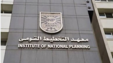 “التخطيط-القومى”-ضعف-الفوائض-الإنتاجية-وراء-اتساع-فجوة-الادخار-فى-مصر