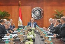 وزير-الاستثمار:-نعمل-على-استكمال-تطوير-معايير-المحاسبة-والمراجعة