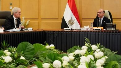 وزير-الاستثمار-يبحث-مع-وفد-أمريكي-تطورات-العلاقات-التجارية-بين-البلدين 