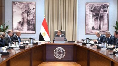 رئيس-الوزراء-يستعرض-جهود-تعزيز-الربط-التجاري-واللوجيستي-مع-الدول-الإفريقية
