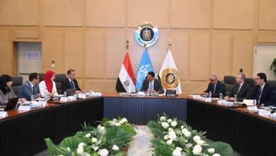 وزير-الصناعة-يترأس-اجتماع-لجنة-تسيير-برنامج-الشراكة-القطرية-لمصر 