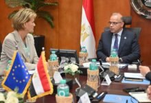 وزير-الاستثمار-يبحث-مع-سفيرة-الاتحاد-الأوروبي-تطوير-الشراكة-الاقتصادية-التجارية