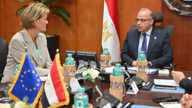 وزير-الاستثمار-يبحث-مع-سفيرة-الاتحاد-الأوروبي-تطوير-الشراكة-الاقتصادية-التجارية