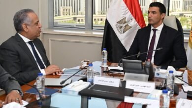 وزير-الصناعة-يبحث-سبل-تعزيز-التعاون-الصناعي-بين-مصر-والدول-الإفريقية