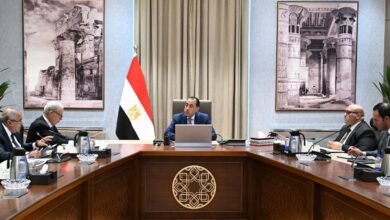 رئيس-الوزراء:-تحسين-الأداء-المالي-لشركات-الدولة-عبر-برنامج-إعادة-هيكلة-شامل