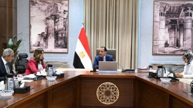الوادي-الجديد-تتوقع-استصلاح-600-ألف-فدان-ضمن-خطة-للتوسع-الزراعي