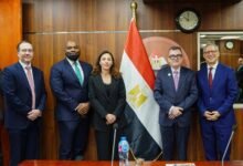 مصر-تدعو-مؤسسة-bii-لدعم-الشركات-الناشئة-والصناعات-التحويلية
