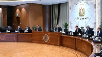 رئيس-الوزراء-يتابع-موقف-توافر-مخزون-الأدوية-والمستحضرات-الطبية-وسداد-مستحقات-الشركات
