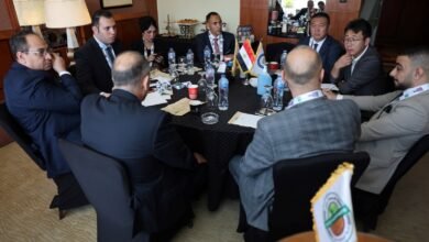 “فوسفات-مصر”-تبحث-مع-شركة-صينية-إنتاج-الفوسفور-الأصفر-محليا