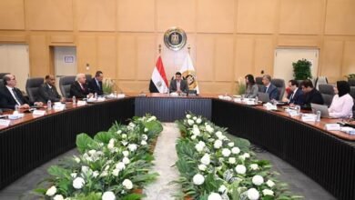 وزير-الصناعة-يبحث-مع-غرفة-الأخشاب-تحديات-القطاع-وخطط-تطويره-وتعزيز-الصادرات