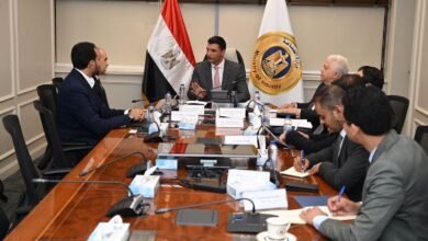 وزير-الصناعة-يبحث-مع-شركة-“إيرسك”-فرص-دعم-التحول-الأخضر